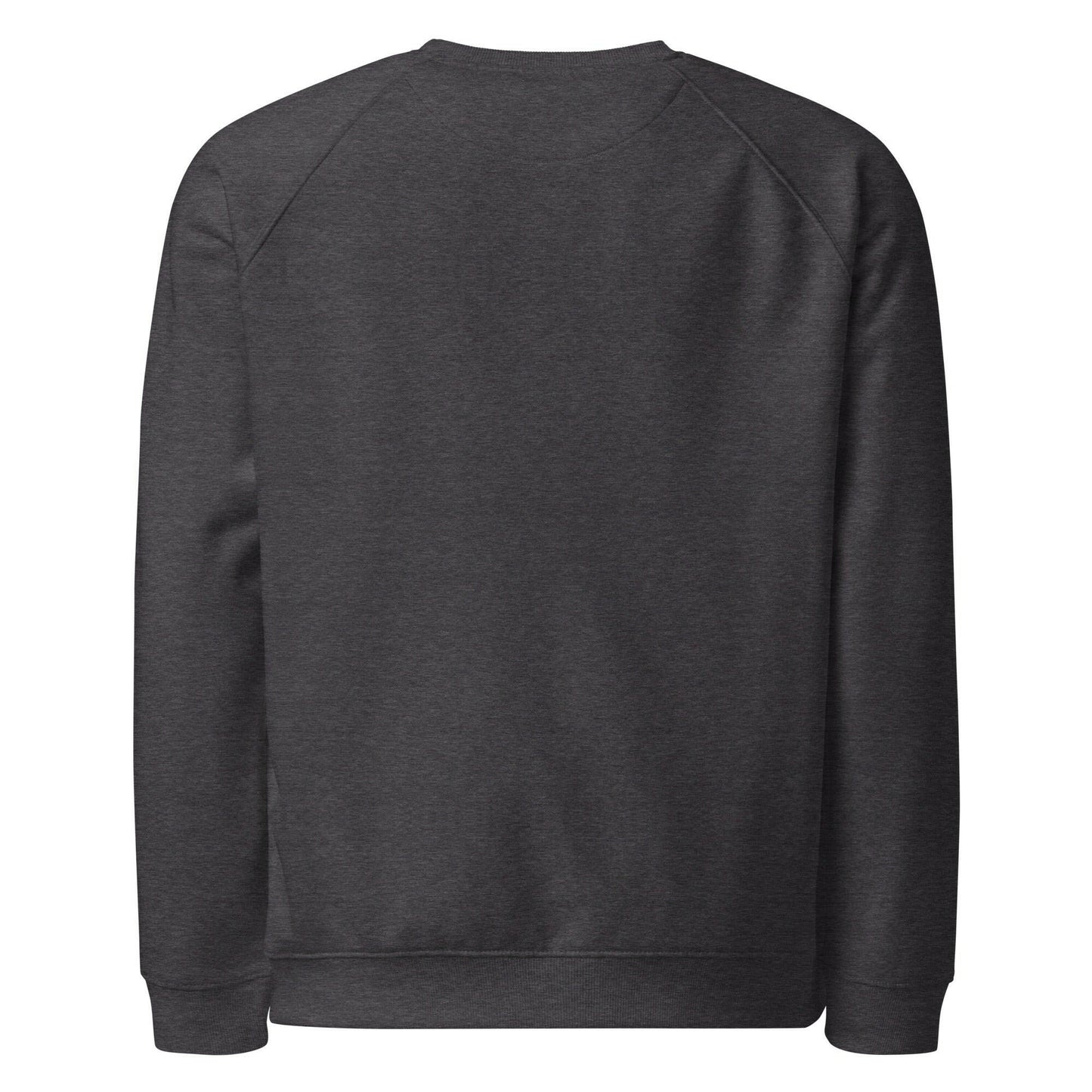 Branded / Organic Raglan Bitcoin Sweatshirt - SVRN_T - The Orange Habit