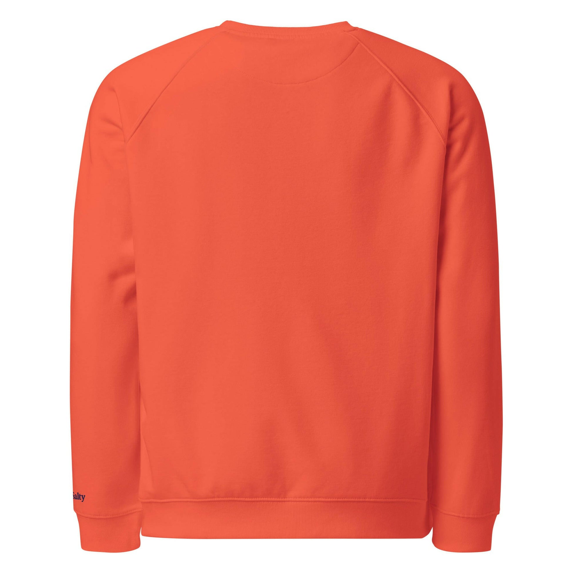 Bitcoin Whale / Organic Raglan Sweatshirt - SVRN_T - The Orange Habit