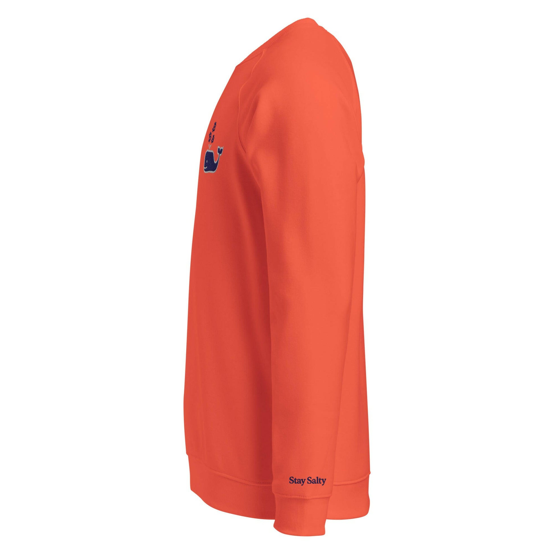 Bitcoin Whale / Organic Raglan Sweatshirt - SVRN_T - The Orange Habit